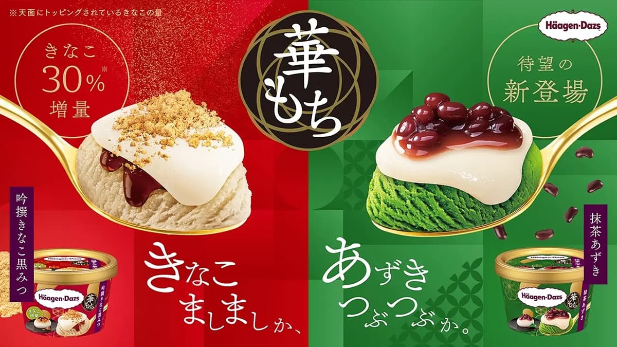 Exploring Japanese Marketing Opportunities - Haagen-Dazs Japan
