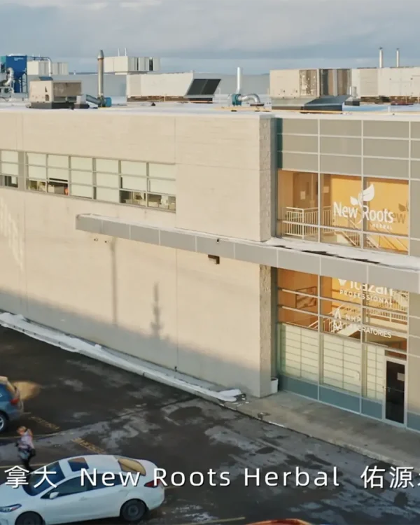 Rejuvenation – New Roots Herbal hero